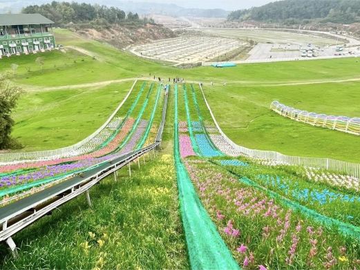 绵阳北川飞鸿滑草场