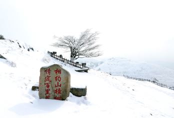 宜昌百里荒滑雪场一日游【赠送滑雪五件套+意外险，纯玩无购物】【[服务保障]因为天气原因影响未发班可以改期或改别的旅游线路，都不满意全额退！】