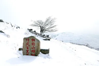 百里荒滑雪场