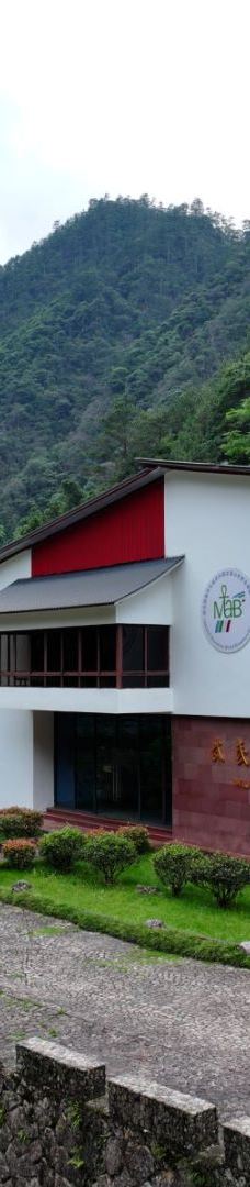 武夷山国家公园1号风景道-武夷山