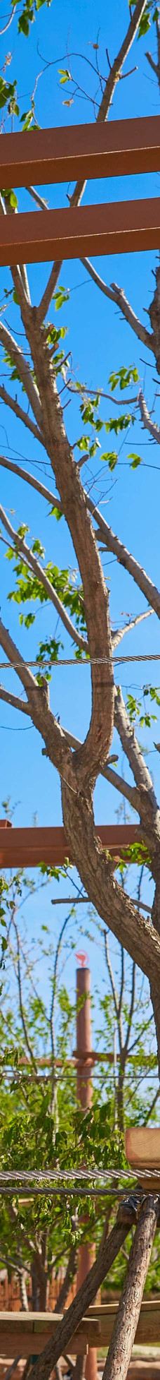 渔田七里海度假区-昌黎