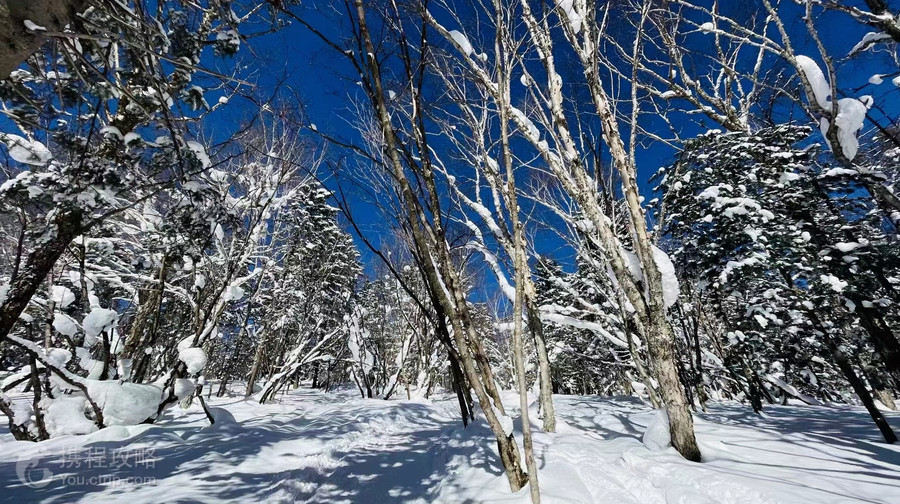 亞布力滑雪
