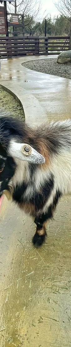 兰阳动植物王国-宜兰