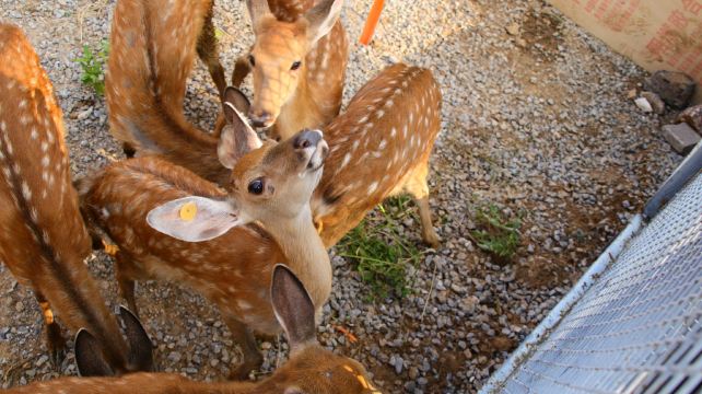 那是自然探索乐园