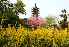 郑州中国绿化博览园景点图片