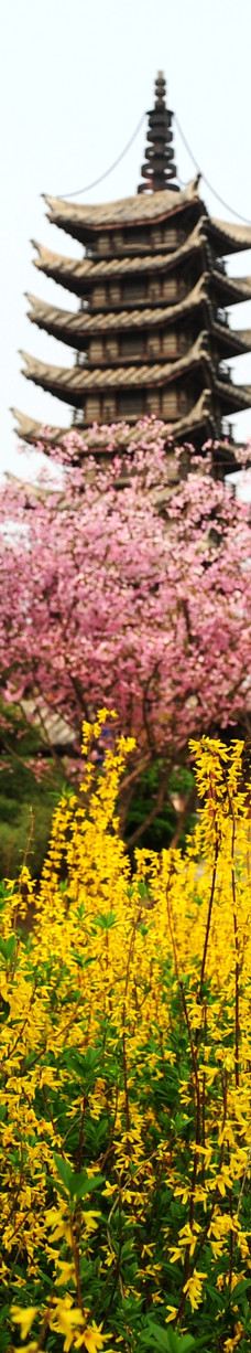 郑州中国绿化博览园-中牟