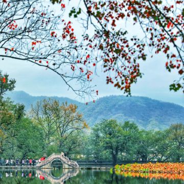 西递+宏村景区+婺源篁岭景区4日3晚跟团游