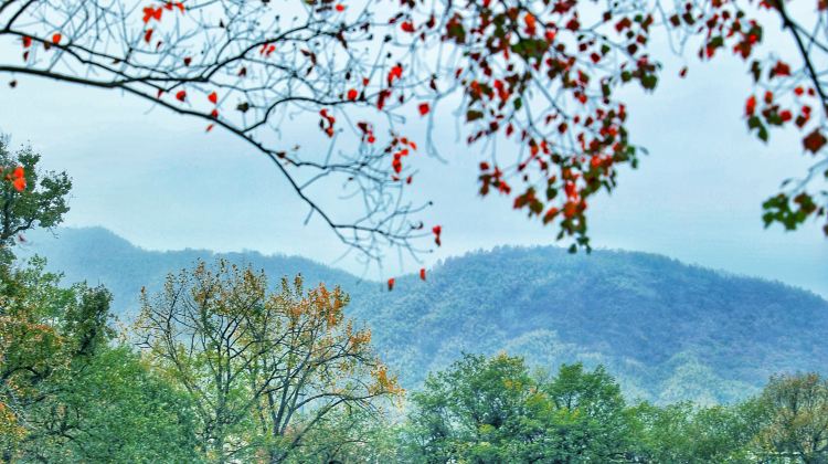5-Day 5-day 4-night · Private Tour · Huangshan Scenic Area + Hongcun Village + Qiandao Lake