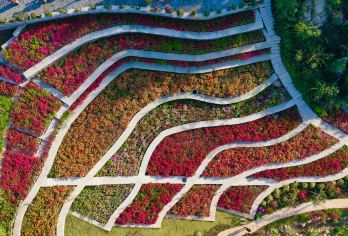 厦门大学+植物园+南普陀一日游【2-6人小团可选帆船出海】【[服务优质]2-6人小团，行程自由，服务周到，司机朋友式解说，小而美尊享体验，一起重归旅行美好】