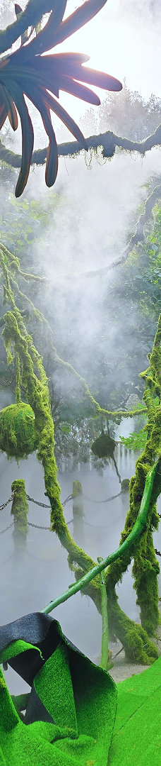 日照天台山-日照