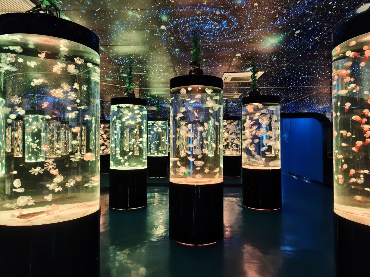 Gallery 1