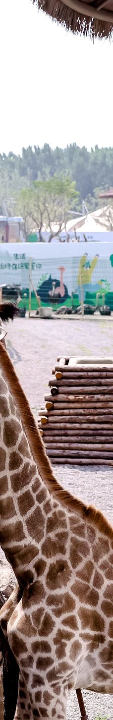 渔田七里海度假区-昌黎