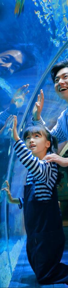 郑州海洋馆-郑州