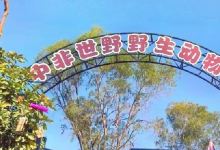厦门中非世野野生动物景点图片