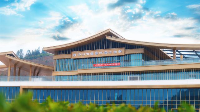 武功山七星雪冰雪大世界