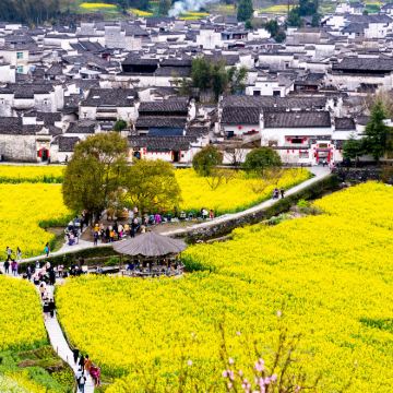 黄山+黄山风景区+西递+宏村景区+千岛湖景区+千岛湖中心湖区+千岛湖植物园+梅峰岛+雷峰塔+岳王庙+灵隐寺+杭州宋城9日8晚私家团