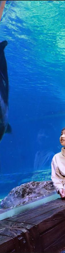 郑州海洋馆-郑州