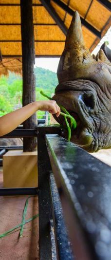 绿山动物园-Bang Phra
