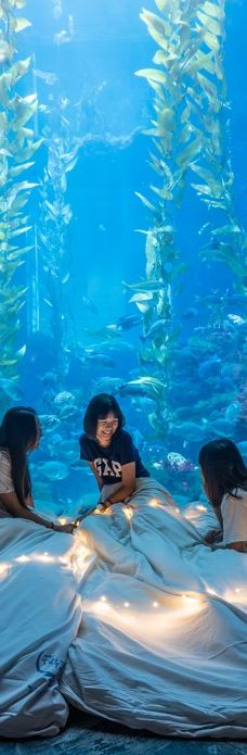 台湾海洋生物博物馆-屏东