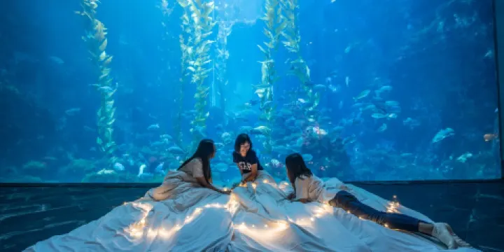 台灣海洋生物博物館