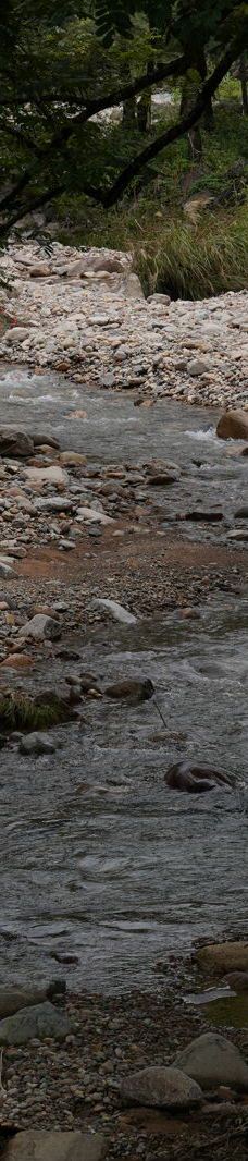 武夷山国家公园1号风景道-武夷山