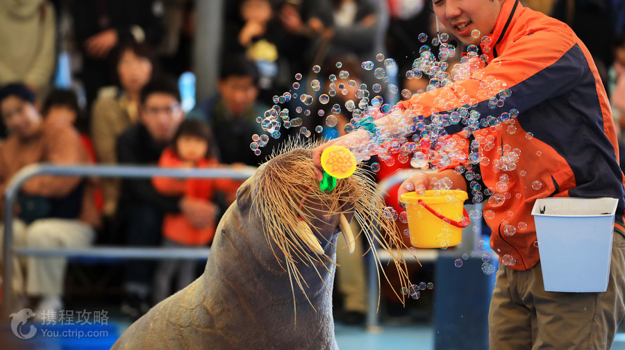 鳥羽水族館