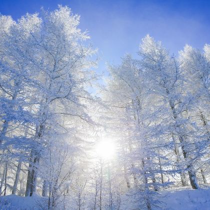 张家口万龙滑雪场+太舞滑雪小镇+草原天路3日2晚私家团