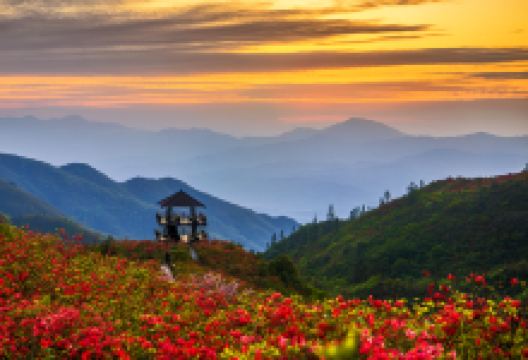 大围山国家森林公园景点图片