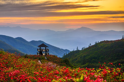 大围山国家森林公园