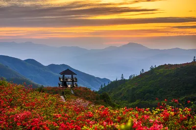 Daweishan National Forest Park