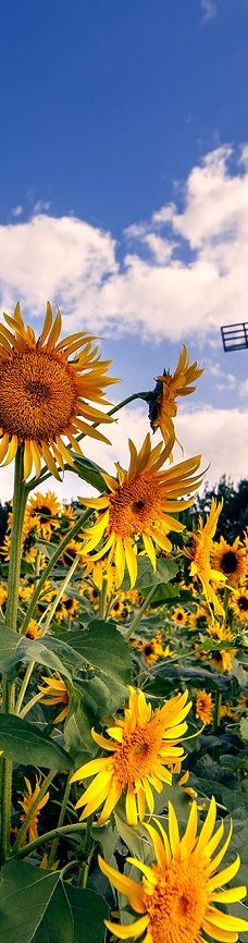 宁波植物园-宁波