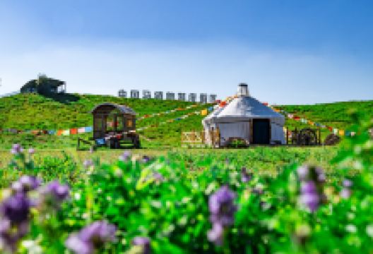 丰宁坝上草原景点图片