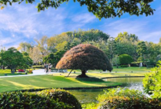 成美文化园景点图片