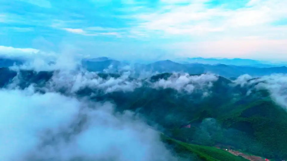 top-video