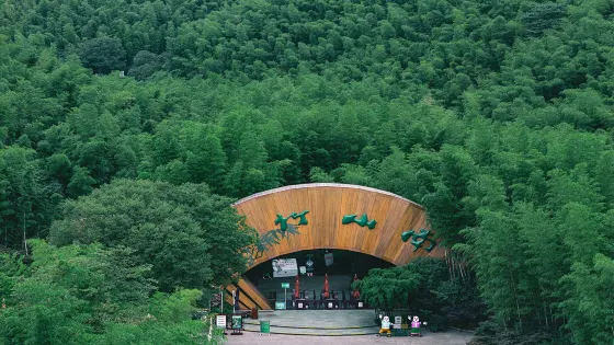天目湖南山竹海