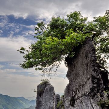 重庆+华蓥山3日2晚私家团