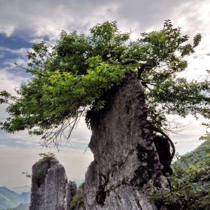 重庆+华蓥山3日2晚私家团