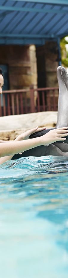 海哺栖息地-新加坡