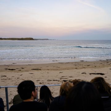 澳大利亚悉尼+堪培拉+墨尔本7日6晚自由行