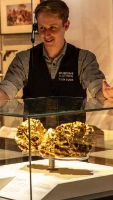 墨尔本博物馆-卡尔敦