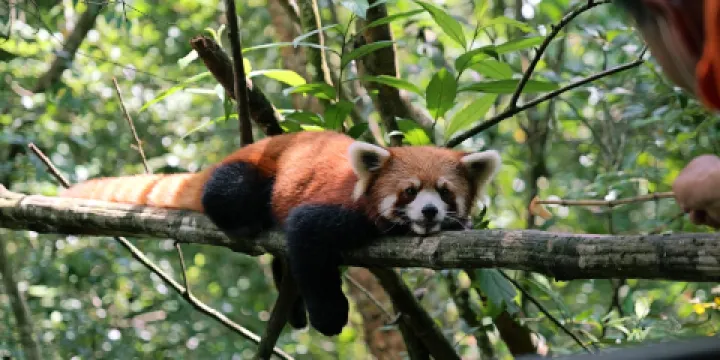 太陽河森林公園