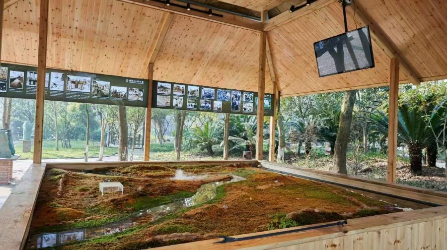 大衍·三星堆非遗研学基地