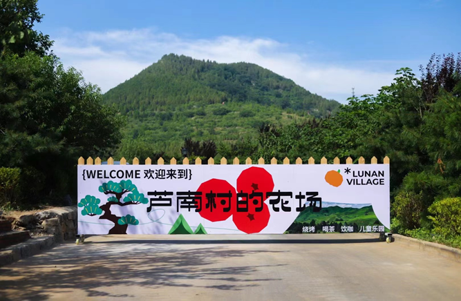 芦南村的农场