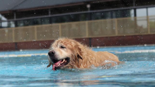 酷贝e族宠物文化基地