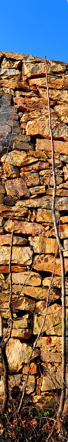 田王寨景区-随县