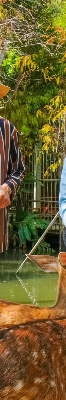 阿信巧克力农场-屏东