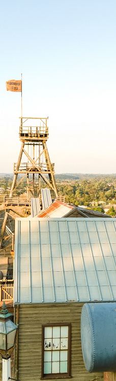 疏芬山-Golden Point