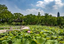 虎丘山风景名胜区景点图片