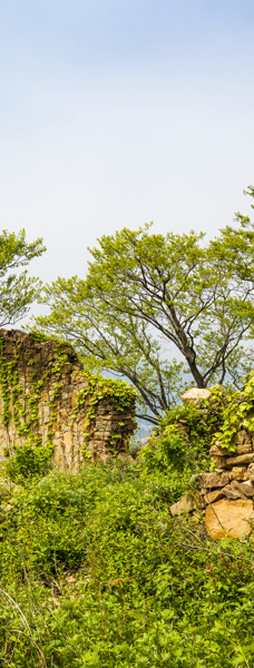田王寨景区-随县
