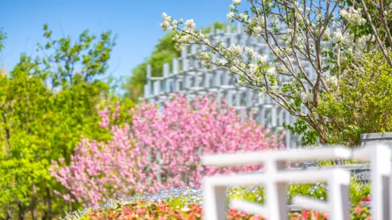 北京世園公園